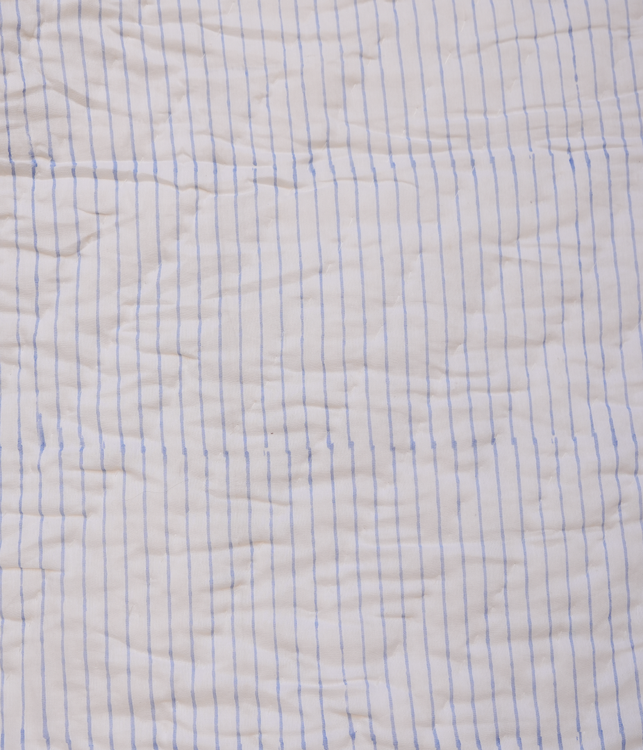 Gagan Hand Block Printed Hand Quilted Cotton Quilt / Razai